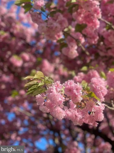 59 Valleybrook Dr, Lancaster PA  17601-4612 exterior