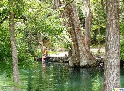 376 Fawn Dr, Spring Branch, TX 78070-4711