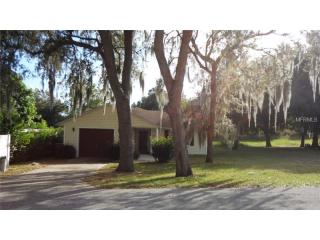 1077 Park Dr, Tavares, FL 32778-2839