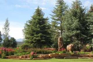 208 Golden Bear Dr, El Jebel, CO 81623-8981