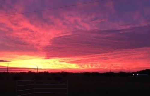 1256 Kentucky Town Rd, Whitewright TX 75491-3502 exterior