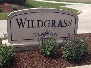 26458 Wildgrass Turn, Monee, IL 60449-8662