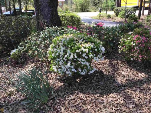 6 Old Ivy Rd, Stockbridge GA  30281-2130 exterior