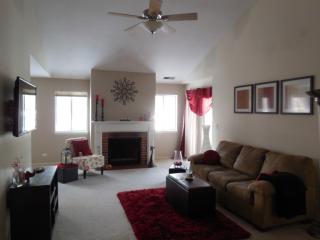 252 Shoreline Cir, Schaumburg IL  60194-5169 exterior