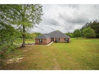22140 Red Fox Run, Howison, MS 39574-4201