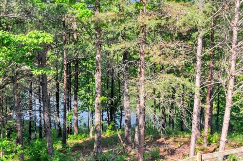 129 Blackhawk Ct, Big Canoe GA  30143 exterior