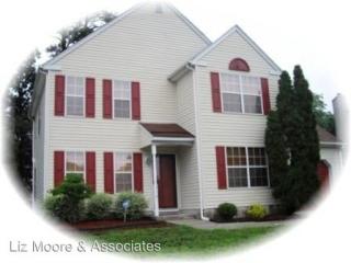 713 Emerald Ct, Newport News VA  23608-1393 exterior