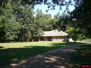 272 Ridgewood Dr, Lakeview, AR 72642-9056