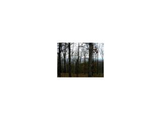 156 Sharp Mountain Pkwy, Big Canoe, GA 30143-4846
