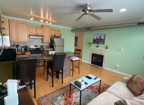 1028 20th Pl, Chicago, IL 60608-3382