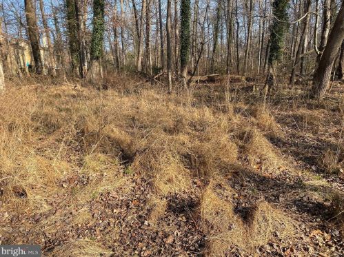 17725 Norwood Rd, Sandy Spring MD  20860-1305 exterior