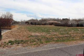 740 Cypress Wood Ln, Delta, CO