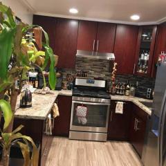 906 Santa Cruz Dr, Concord CA  94523-2329 exterior