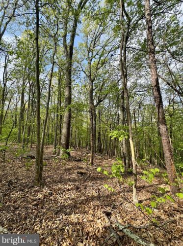 1765 Peters Mountain Ln, Upper Tract WV  26866 exterior