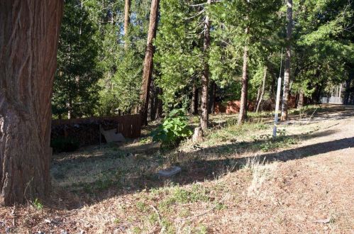 4466 Eight Mile Rd, Snowline Camp, CA 95709-9548