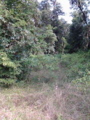 133 Valhalla Ct, Cordele, GA 31015-9307
