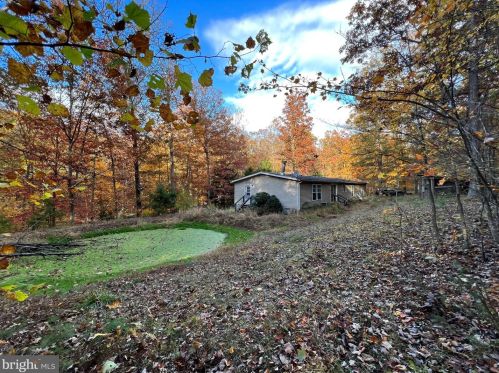 278 Pine Trail Dr, Rig, WV 26836-8674