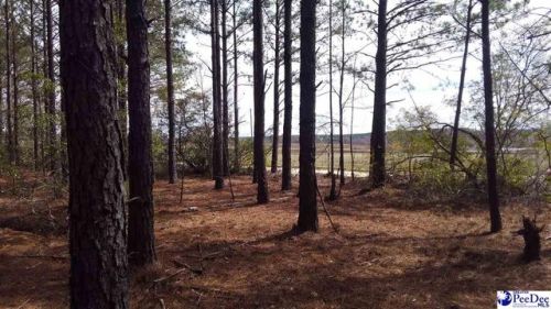 1445 Cassidy Mill Rd, Chesterfield, SC 29709-5314
