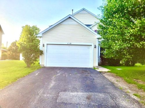 1519 Cambria Ct, Joliet, IL 60431-5384