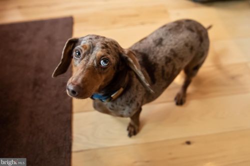 59 East St, Carlisle PA  17013-2505 exterior