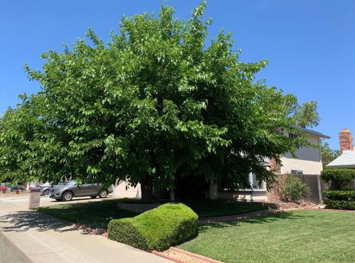 6329 Twin Wood Way, Citrus Heights, CA 95621-3525