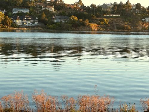 16 Duxbury Cv, San Rafael, CA 94901-4400