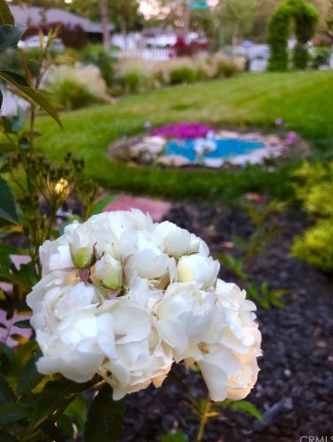 1102 Riviera Dr, Santa Ana CA 92706-1543 exterior