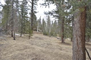 104 Pinewood Rd, Twin Rock, CO 80816-8910