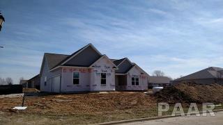 101 Whistling Strait, Beverly Manor, IL 61571-4026