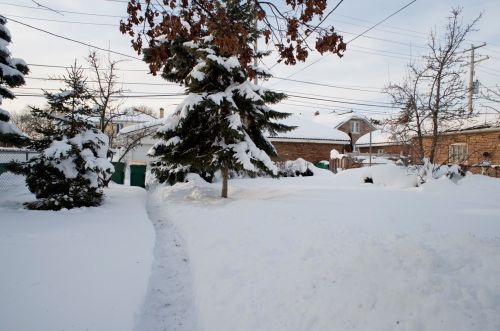 7049 Pkwy, Forest View IL  60402-2554 exterior