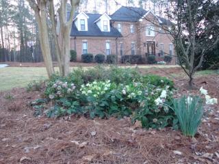 1141 Daandra Dr, Watkinsville, GA 30677-1584