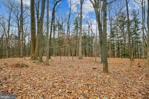 10612 Tenbrook Dr, Silver Spring MD 20901-1030 exterior