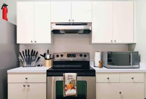 1727 Fitzhugh Ave, Dallas, TX 75204-4724