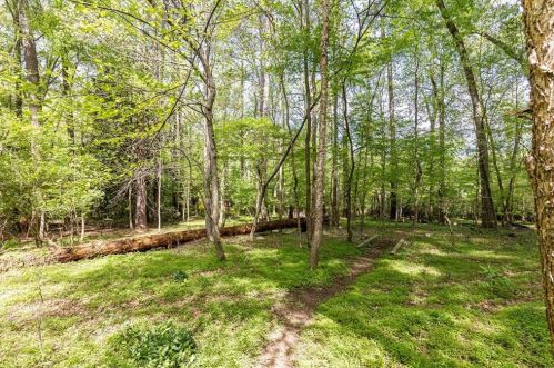 2664 Margaret Mitchell Dr, Atlanta GA  30327-1844 exterior