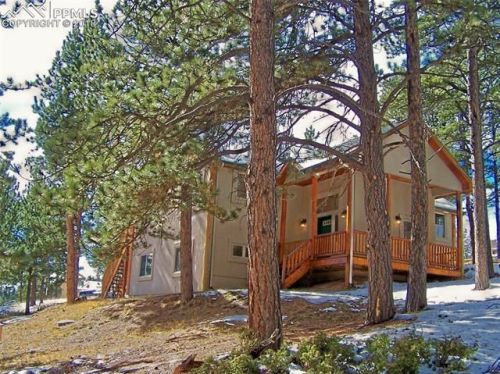 886 Blue Mesa Dr, Divide, CO 80814-9763
