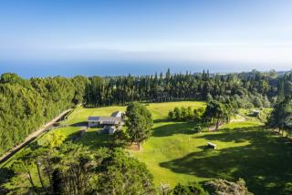 44-3333 Kalopa Mauka Rd, Paauhau, HI 96727