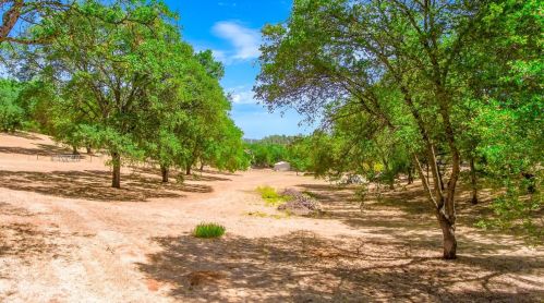 1641 Shadydale Ln, Swansboro Country, CA 95667-8928
