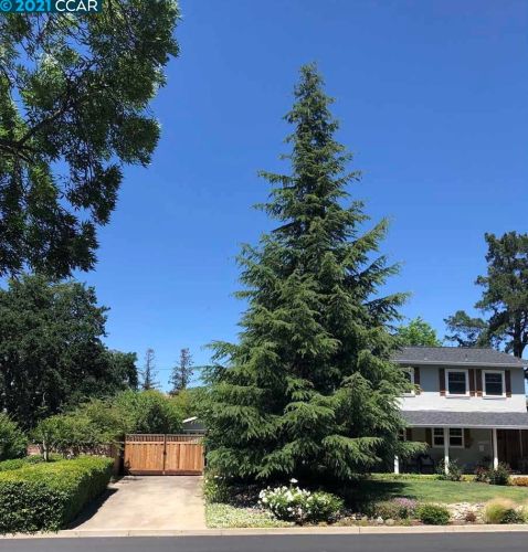 5587 Southbrook Dr, Clayton, CA 94517-1041