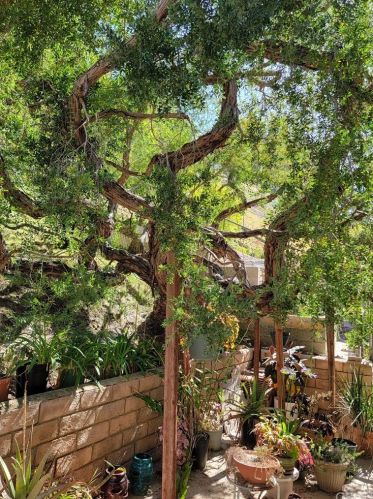 3900 Paseo De Las Tortugas, Torrance, CA 90505-6322
