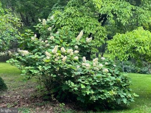 1917 Walnut Bottom Rd, Carlisle PA  17015-9624 exterior