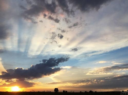 706 Avondale Blvd, Avondale CO 81022-8702 exterior