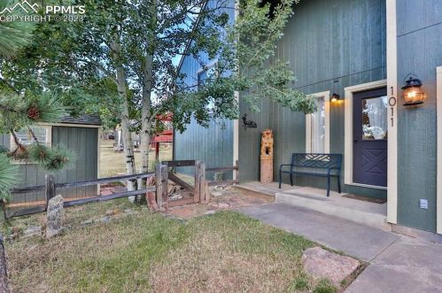 1011 South Ave, Woodland Park, CO 80863-2358