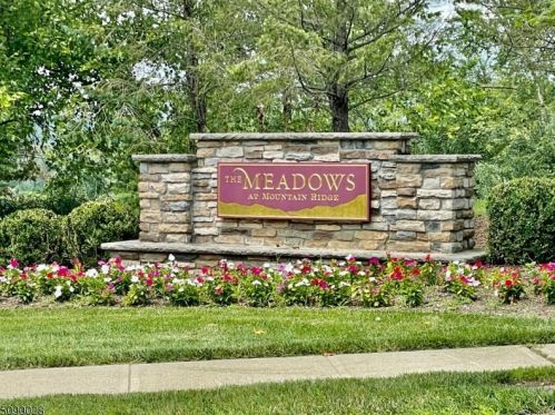 28 Junegrass Way, Hackettstown NJ  07840-4539 exterior