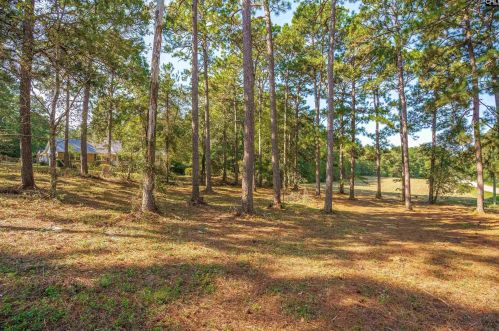 625 Pleasant View Dr, Lexington, SC 29073-8599