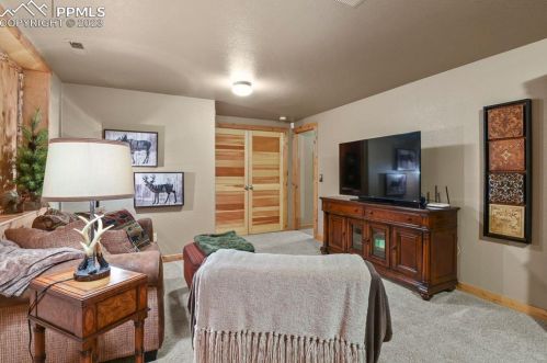 133 Elk Grove Ln, Woodland Park CO 80863-9171 exterior