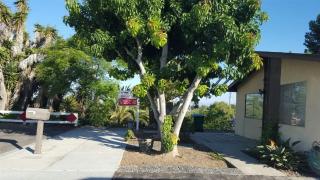 3090 Buena Hills Dr, Oceanside, CA 92056-3919