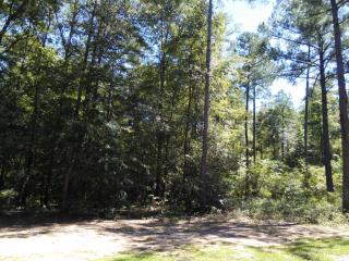 66 Beckwith Rd, Ellaville, GA 31806-1912