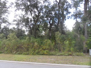 1272 Peacock Trl, Hinesville, GA 31313-4130