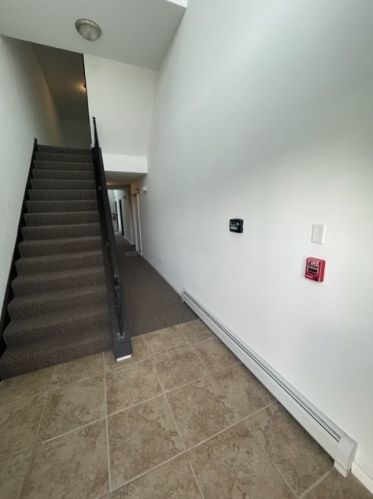 101 Elk Trl, Carol Stream IL  60188-9335 exterior