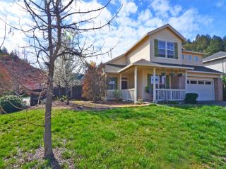 322 Buckeye Cir, The Geysers, CA 95425-5448